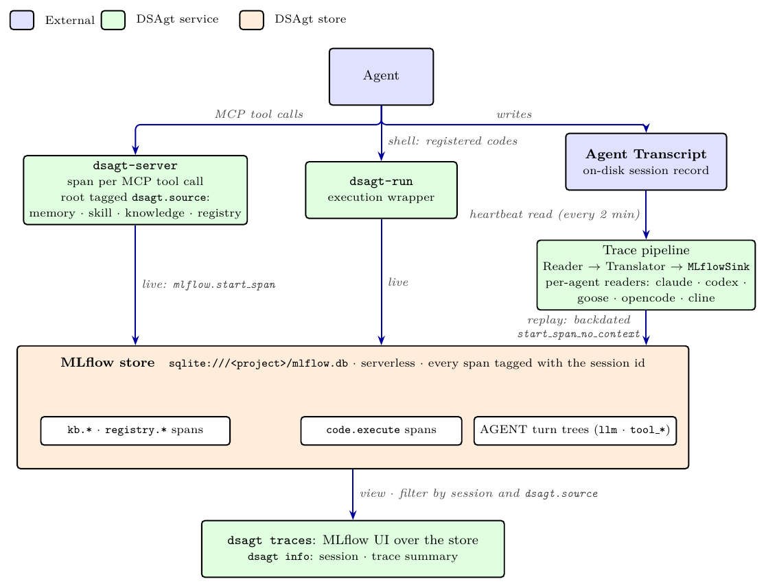 DSAgt observability